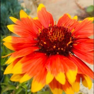 Meet your Posher, Fatima